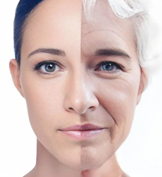 Spermidine Tablets | Shaanxi BLOOM Tech Co., Ltd Spermidine Tablets | Shaanxi BLOOM Tech Co., Ltd