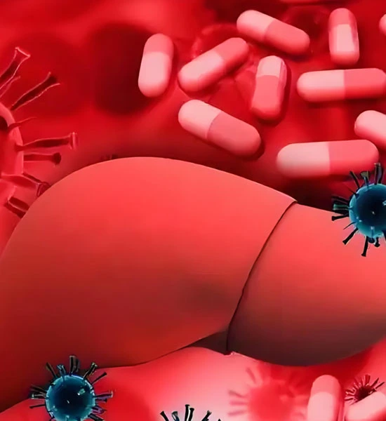 Spermidine Tablets | Shaanxi BLOOM Tech Co., Ltd Spermidine Tablets | Shaanxi BLOOM Tech Co., Ltd