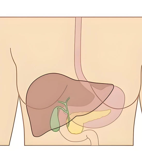 Spermidine Tablets | Shaanxi BLOOM Tech Co., Ltd Spermidine Tablets | Shaanxi BLOOM Tech Co., Ltd