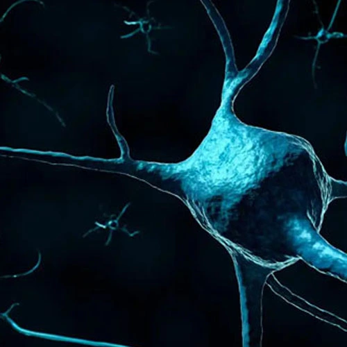 Spermidine Trihydrochloride | Shaanxi BLOOM Tech Co., Ltd Spermidine Trihydrochloride | Shaanxi BLOOM Tech Co., Ltd