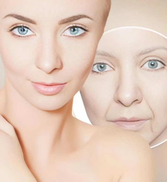 Spermidine Trihydrochloride | Shaanxi BLOOM Tech Co., Ltd Spermidine Trihydrochloride | Shaanxi BLOOM Tech Co., Ltd