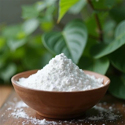 Spermidine | Shaanxi BLOOM Tech Co., Ltd