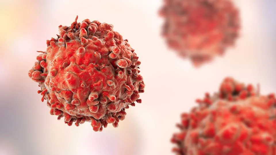 Spermidine Trihydrochloride | Shaanxi BLOOM Tech Co., Ltd Spermidine Trihydrochloride | Shaanxi BLOOM Tech Co., Ltd