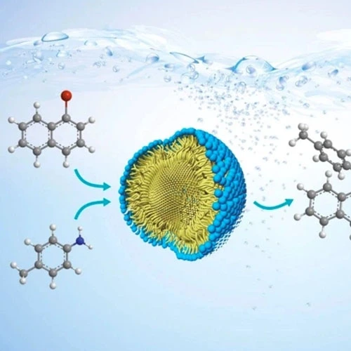 GS 441524 powder | Shaanxi BLOOM Tech Co., Ltd GS 441524 powder | Shaanxi BLOOM Tech Co., Ltd