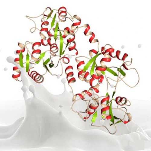 GS 441524 powder | Shaanxi BLOOM Tech Co., Ltd GS 441524 powder | Shaanxi BLOOM Tech Co., Ltd