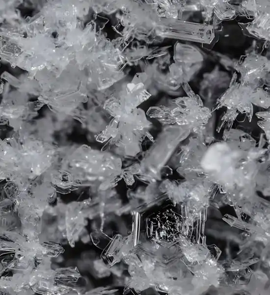 GS 441524 powder | Shaanxi BLOOM Tech Co., Ltd GS 441524 powder | Shaanxi BLOOM Tech Co., Ltd