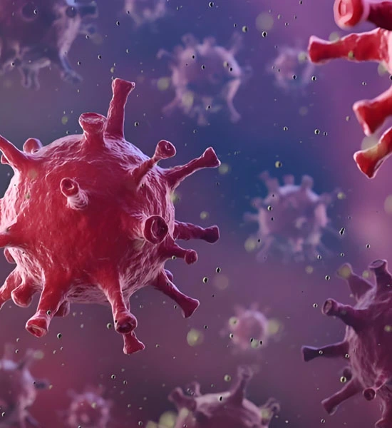 GS 441524 powder | Shaanxi BLOOM Tech Co., Ltd GS 441524 powder | Shaanxi BLOOM Tech Co., Ltd