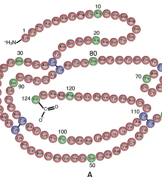 GS 441524 powder | Shaanxi BLOOM Tech Co., Ltd GS 441524 powder | Shaanxi BLOOM Tech Co., Ltd