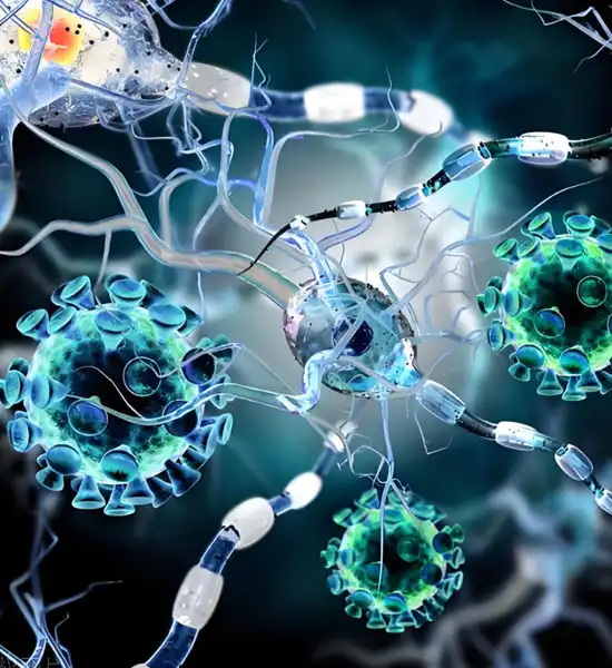 spermidine | Shaanxi BLOOM Tech Co., Ltd spermidine | Shaanxi BLOOM Tech Co., Ltd