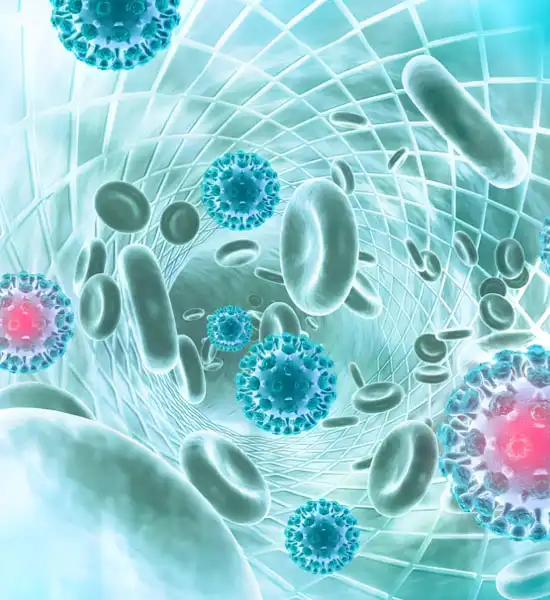 spermidine | Shaanxi BLOOM Tech Co., Ltd spermidine | Shaanxi BLOOM Tech Co., Ltd