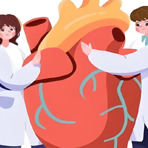 spermidine | Shaanxi BLOOM Tech Co., Ltd spermidine | Shaanxi BLOOM Tech Co., Ltd