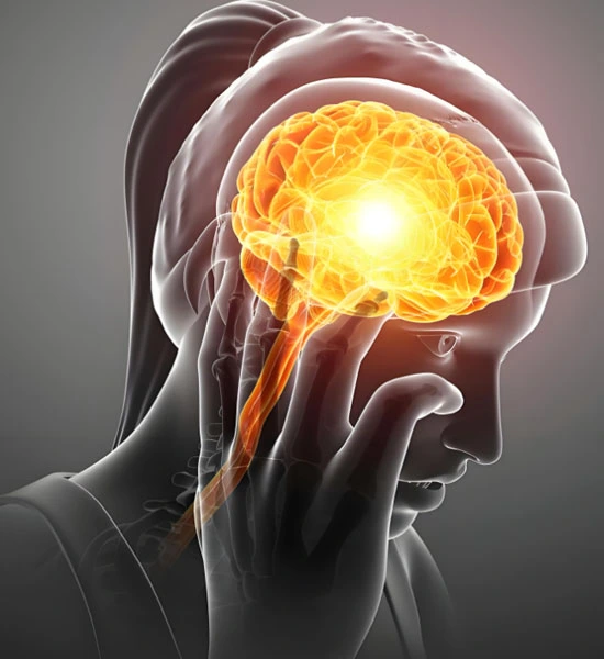 Spermidine | Shaanxi BLOOM Tech Co., Ltd Spermidine | Shaanxi BLOOM Tech Co., Ltd