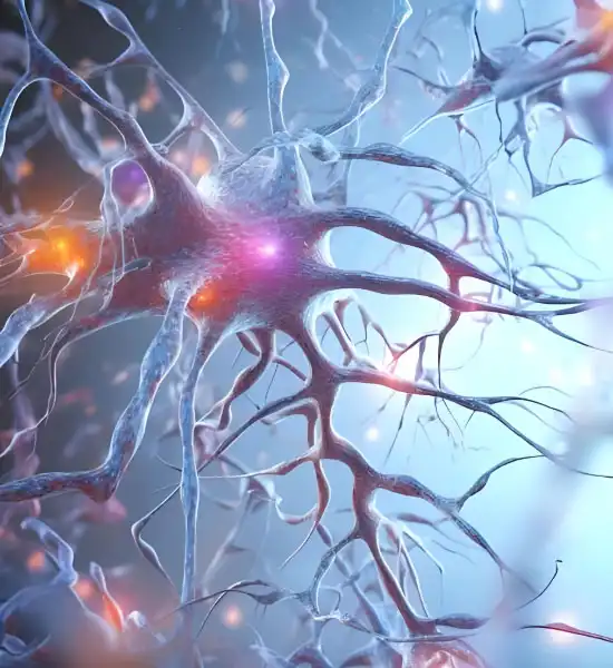 Spermidine | Shaanxi BLOOM Tech Co., Ltd Spermidine | Shaanxi BLOOM Tech Co., Ltd