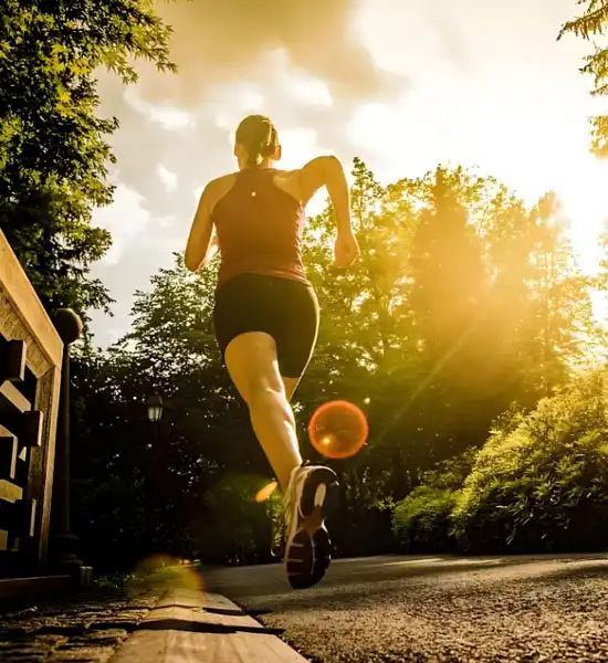 Spermidine | Shaanxi BLOOM Tech Co., Ltd Spermidine | Shaanxi BLOOM Tech Co., Ltd