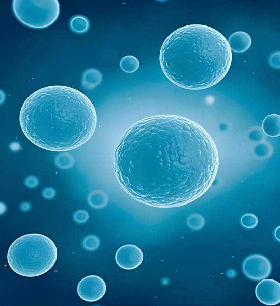 Spermidine | Shaanxi BLOOM Tech Co., Ltd Spermidine | Shaanxi BLOOM Tech Co., Ltd