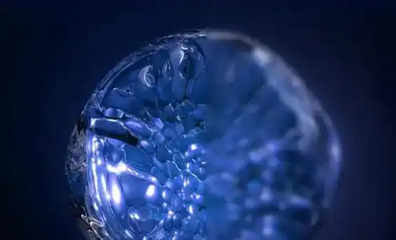 spermidine uses | Shaanxi BLOOM Tech Co., Ltd spermidine uses | Shaanxi BLOOM Tech Co., Ltd