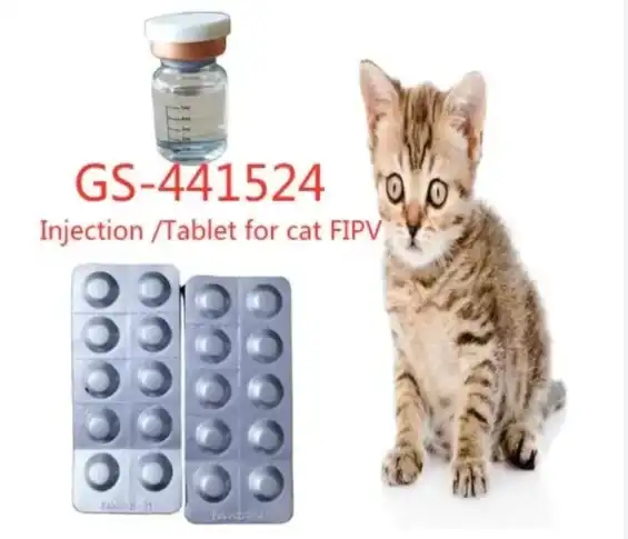 GS 441524 tablets | Shaanxi BLOOM Tech Co., Ltd