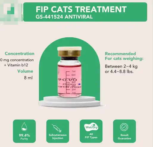 GS-441524 capsule | Shaanxi BLOOM Tech Co., Ltd GS-441524 capsule | Shaanxi BLOOM Tech Co., Ltd