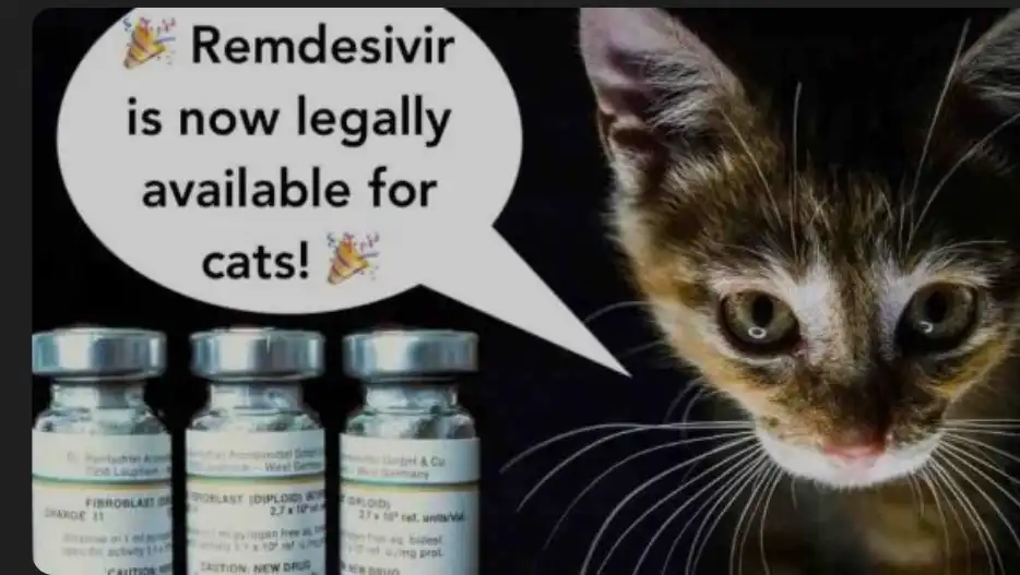 GS-441524 Legal | Shaanxi BLOOM Tech Co., Ltd GS-441524 Legal | Shaanxi BLOOM Tech Co., Ltd