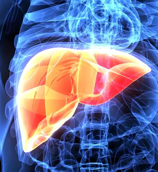 GS 441524 powder | Shaanxi BLOOM Tech Co., Ltd GS 441524 powder | Shaanxi BLOOM Tech Co., Ltd