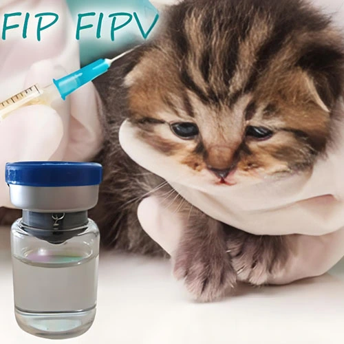 GS 441524 powder | Shaanxi BLOOM Tech Co., Ltd GS 441524 powder | Shaanxi BLOOM Tech Co., Ltd