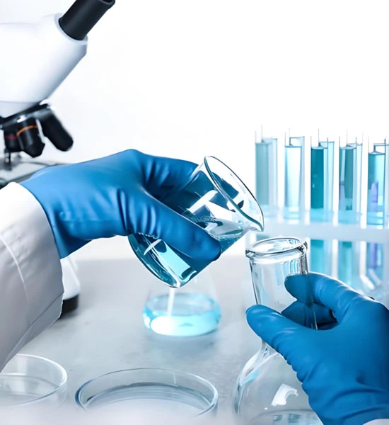 spermidine powder | Shaanxi BLOOM Tech Co., Ltd