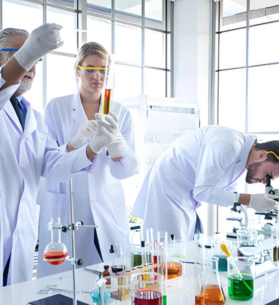 spermidine powder | Shaanxi BLOOM Tech Co., Ltd