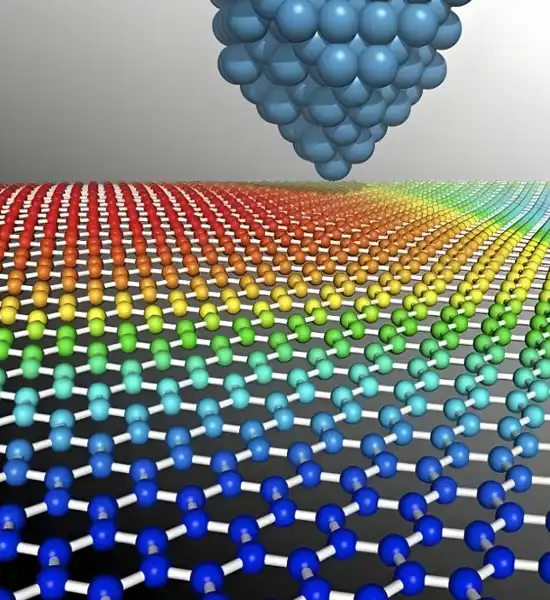 spermidine powder | Shaanxi BLOOM Tech Co., Ltd spermidine powder | Shaanxi BLOOM Tech Co., Ltd