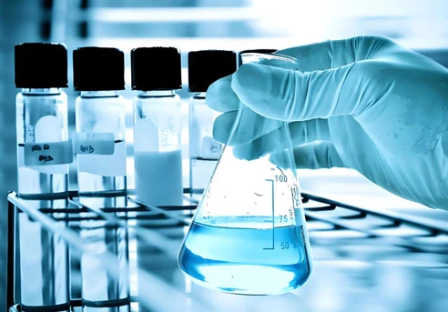 spermidine powder | Shaanxi BLOOM Tech Co., Ltd