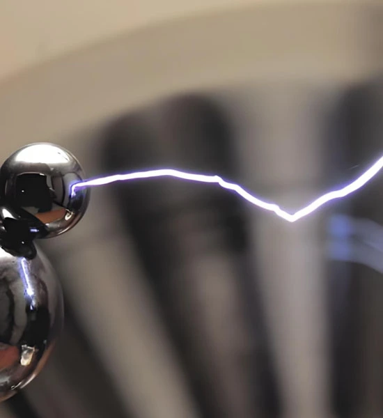 spermidine powder | Shaanxi BLOOM Tech Co., Ltd spermidine powder | Shaanxi BLOOM Tech Co., Ltd