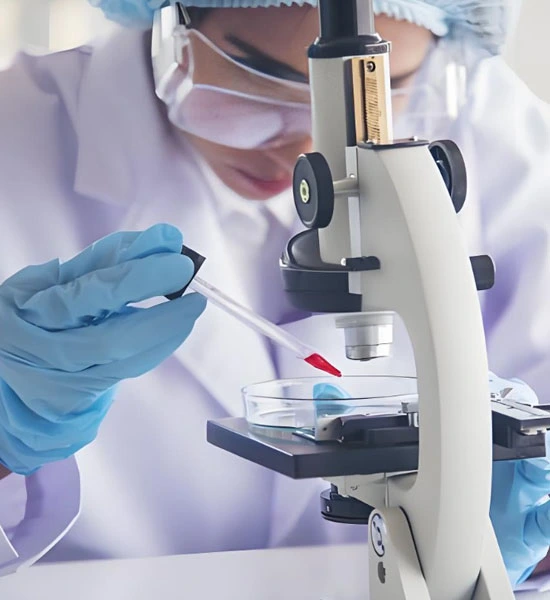 spermidine powder | Shaanxi BLOOM Tech Co., Ltd spermidine powder | Shaanxi BLOOM Tech Co., Ltd