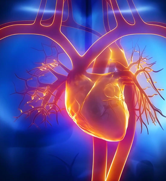 spermidine powder | Shaanxi BLOOM Tech Co., Ltd spermidine powder | Shaanxi BLOOM Tech Co., Ltd